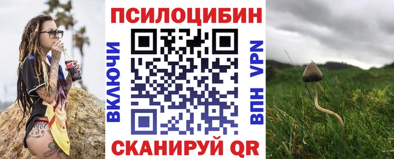 Галлюциногенные грибы Cubensis  Дзержинск 