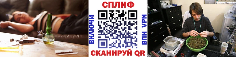 МАРИХУАНА сатива купить наркотики цена Дзержинск